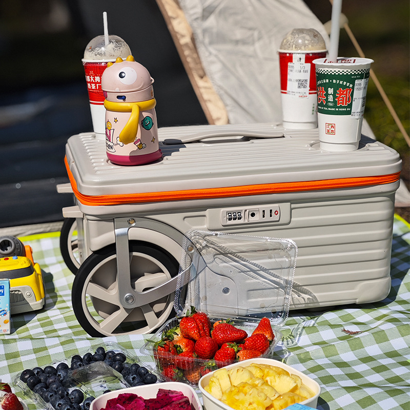 20/24 inch buitenbagage campin - Spinner Wheel Rolling Suitcase 20 Inch recensie en prijs